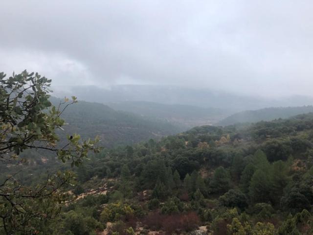 Casa Rural La Labranza Sacedón 외부 사진